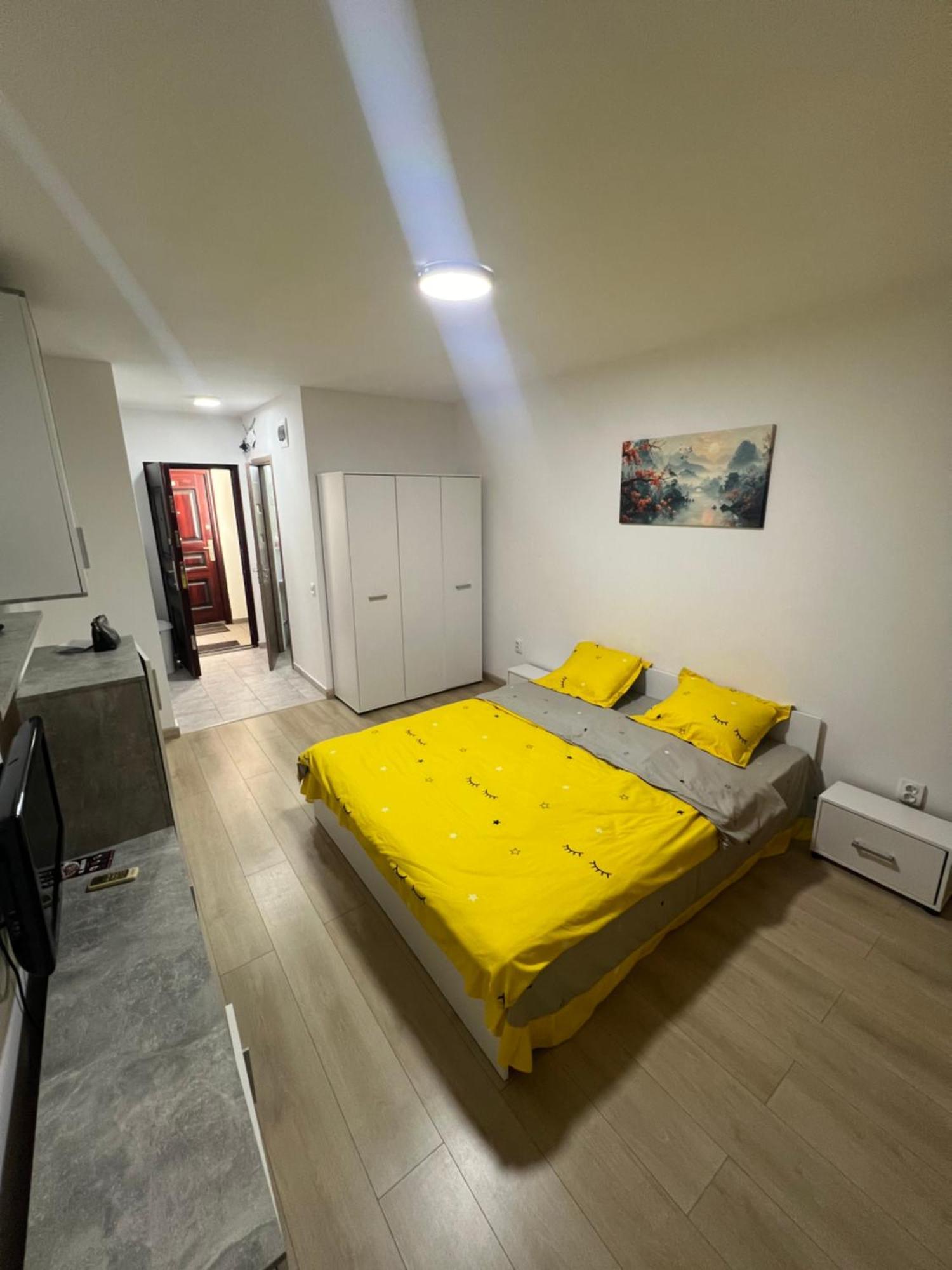 Nicolle Studio 2 Piteşti Extérieur photo